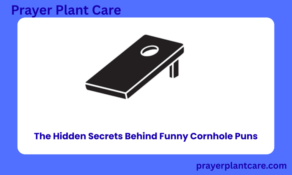 The Hidden Secrets Behind Funny Cornhole Puns