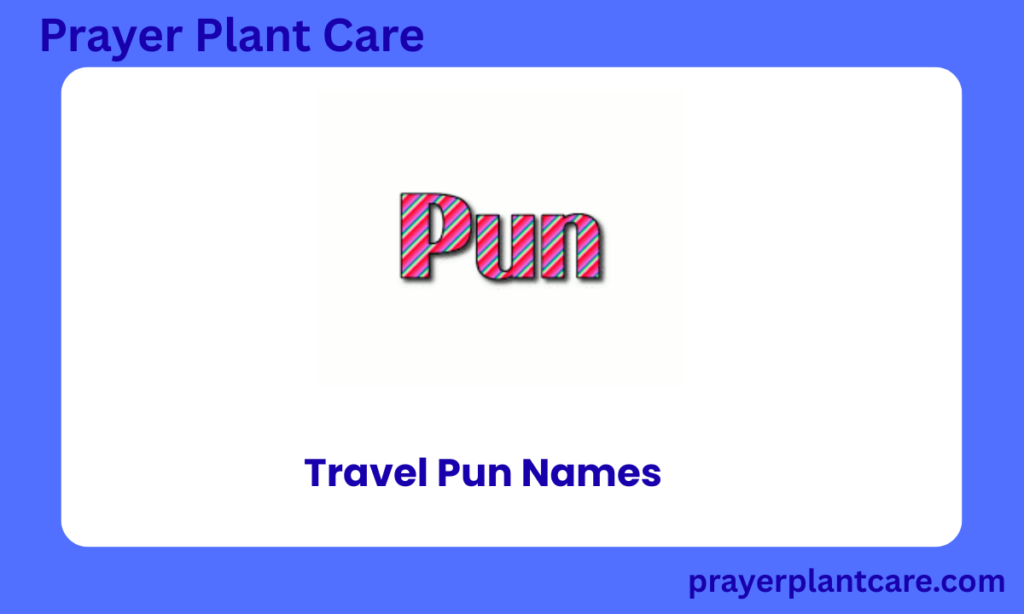 Travel Pun NameS