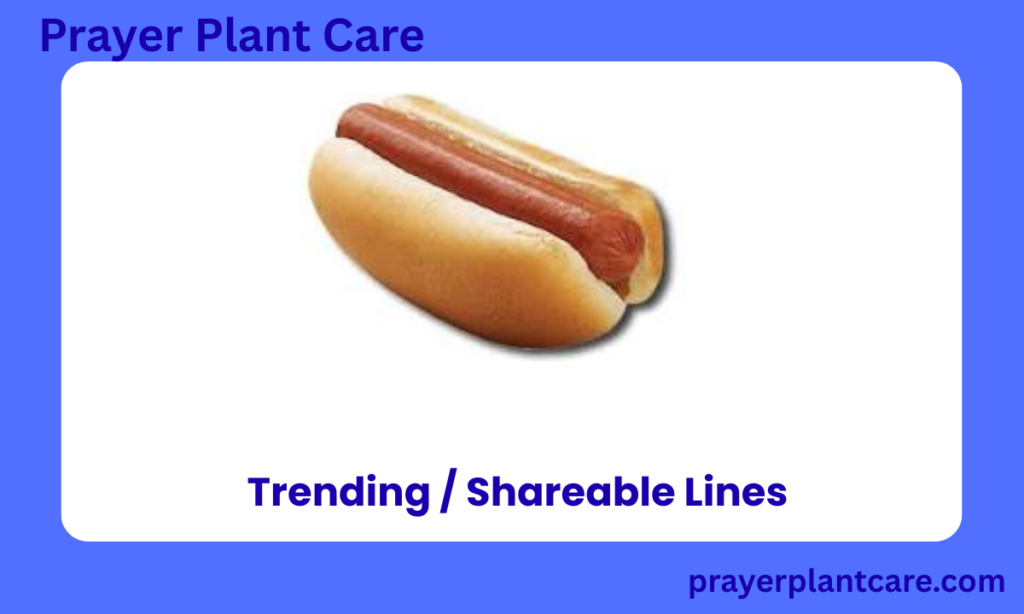 Trending Shareable Lines