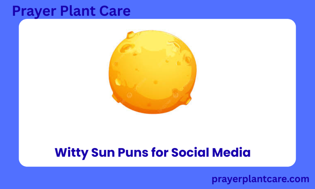 Witty Sun Puns for Social Media