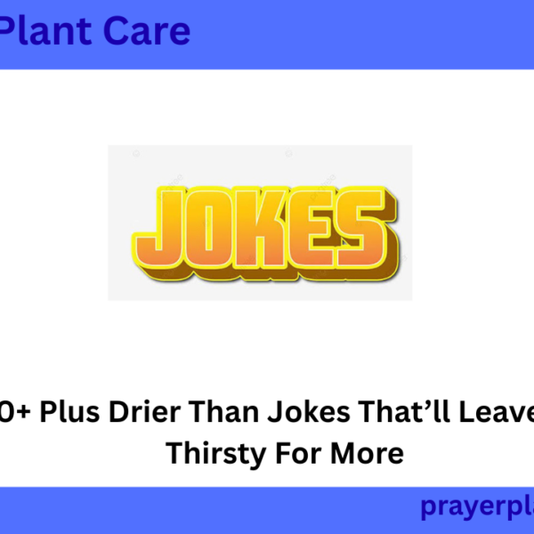 170+ Plus Drier Than Jokes That’ll Leave You Thirsty For More