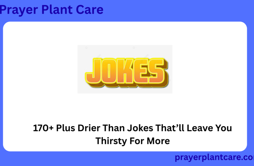 170+ Plus Drier Than Jokes That’ll Leave You Thirsty For More