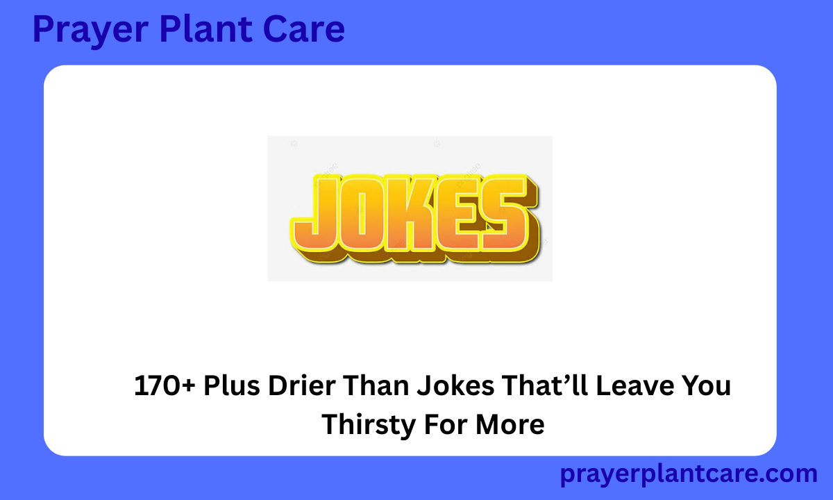 170+ Plus Drier Than Jokes That’ll Leave You Thirsty For More