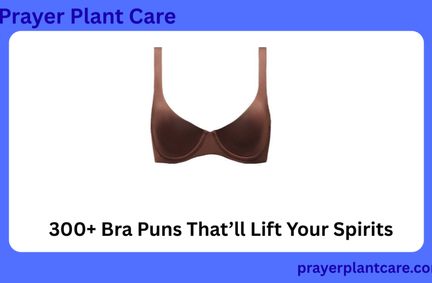 300+ Bra Puns That’ll Lift Your Spirits