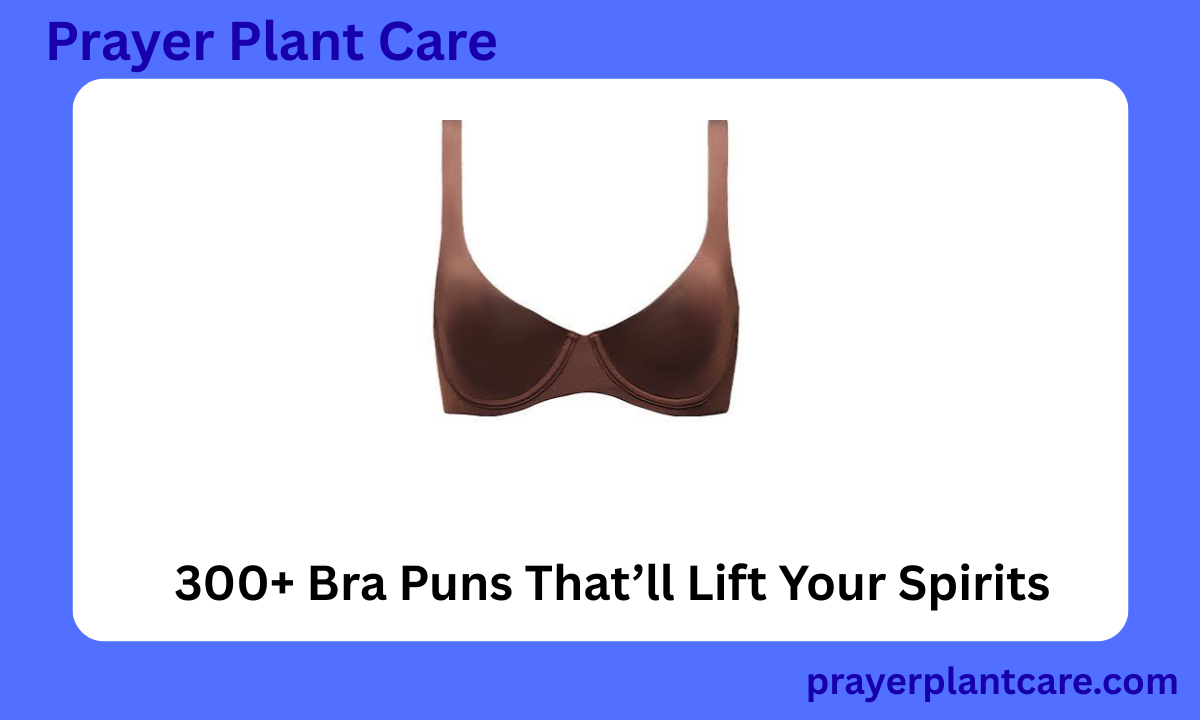 300+ Bra Puns That’ll Lift Your Spirits