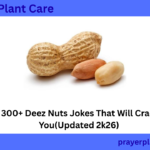 300+ Deez Nuts Jokes That Will Crack You(Updated 2k26)