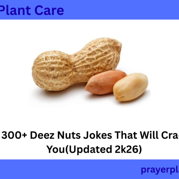 300+ Deez Nuts Jokes That Will Crack You(Updated 2k26)