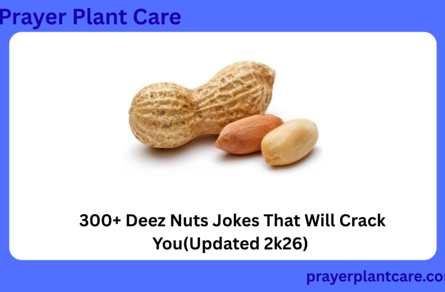 300+ Deez Nuts Jokes That Will Crack You(Updated 2k26)