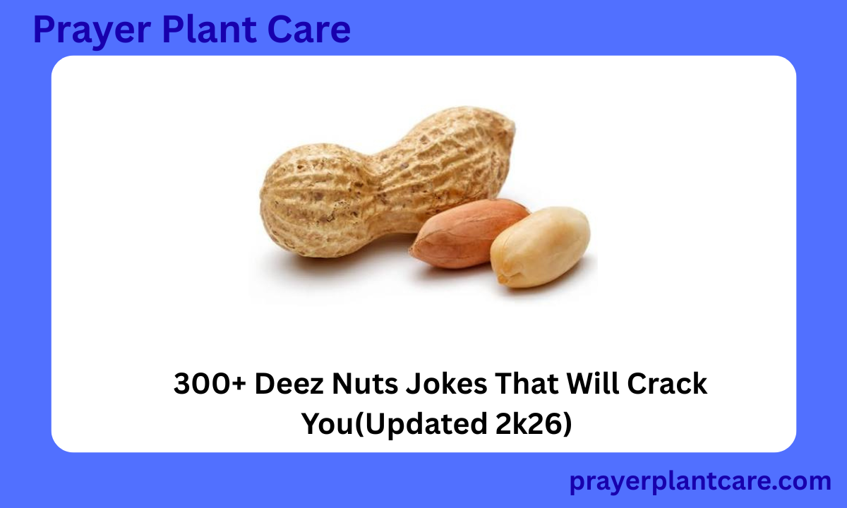 300+ Deez Nuts Jokes That Will Crack You(Updated 2k26)
