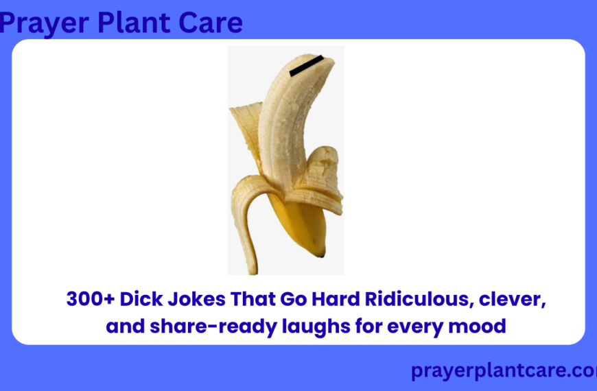 300+ Dick Jokes That Go Hard Ridiculous, clever, and share-ready laughs for every mood