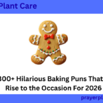 300+ Hilarious Baking Puns That’ll Rise to the Occasion For 2026