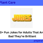 300+ Pun Jokes for Adults That Are So Bad They’re Brilliant