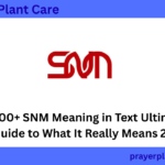300+ SNM Meaning in Text Ultimate Guide to What It Really Means 2026