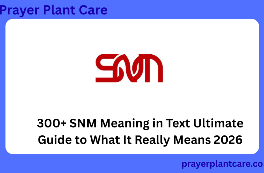 300+ SNM Meaning in Text Ultimate Guide to What It Really Means 2026