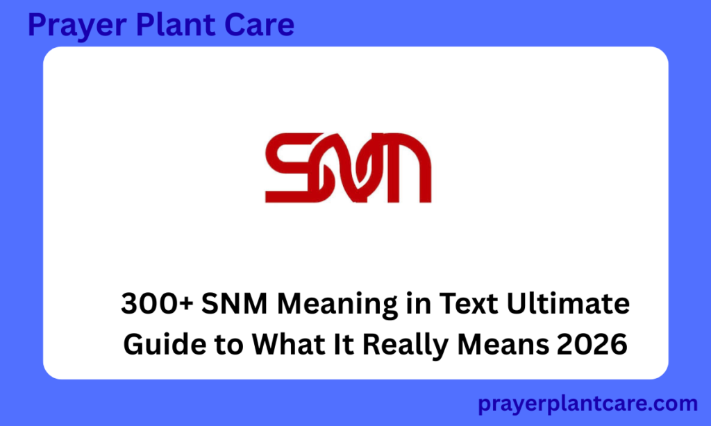 300+ SNM Meaning in Text Ultimate Guide to What It Really Means 2026