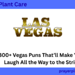 300+ Vegas Puns That’ll Make You Laugh All the Way to the Strip