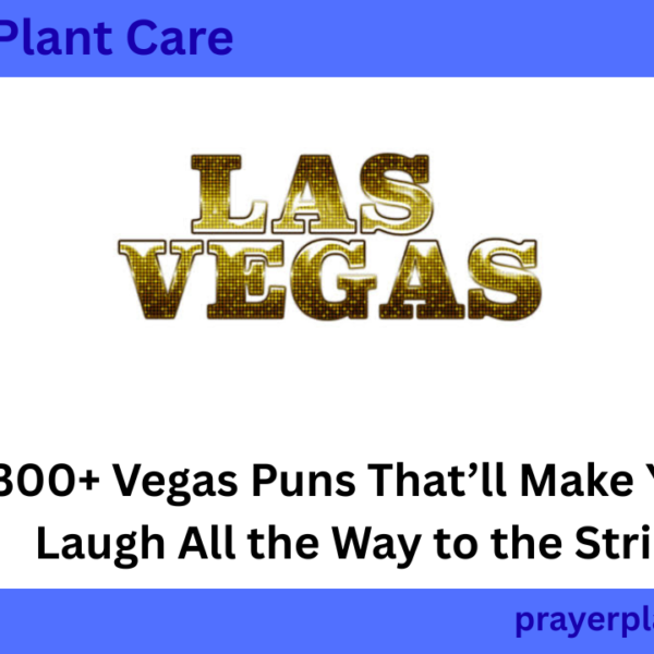 300+ Vegas Puns That’ll Make You Laugh All the Way to the Strip