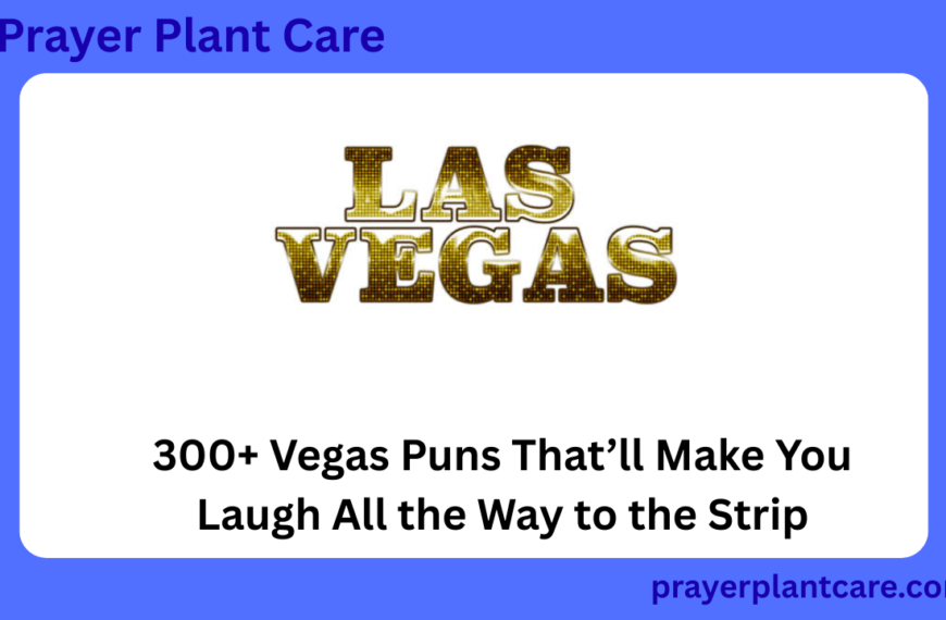 300+ Vegas Puns That’ll Make You Laugh All the Way to the Strip