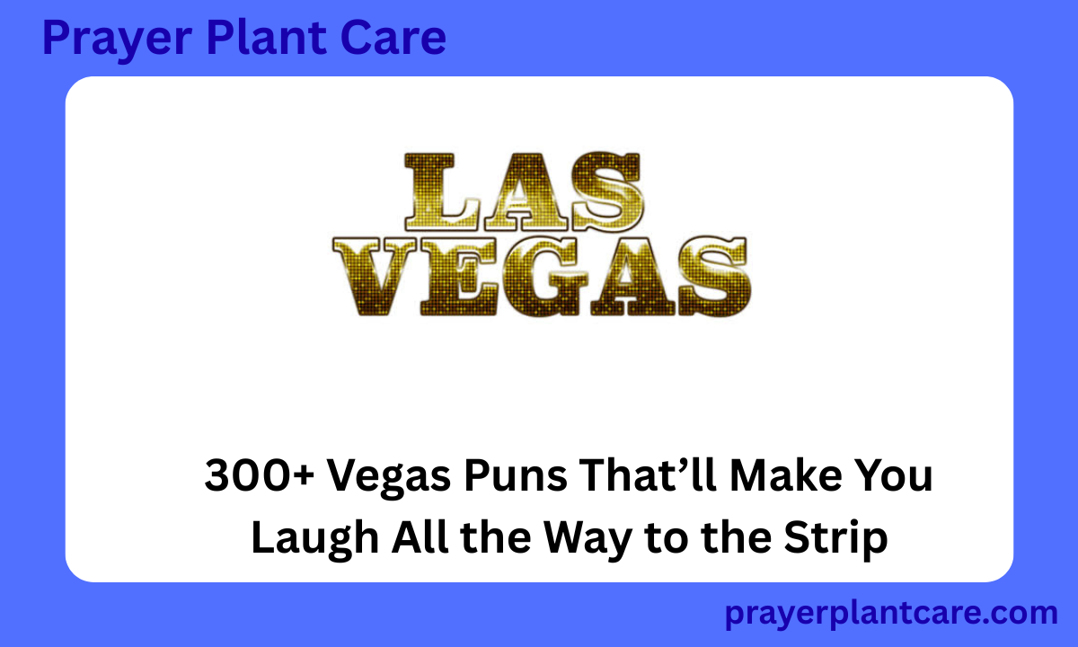 300+ Vegas Puns That’ll Make You Laugh All the Way to the Strip