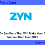 300+ Zyn Puns That Will Make Your Day Funnier Than Ever 2026