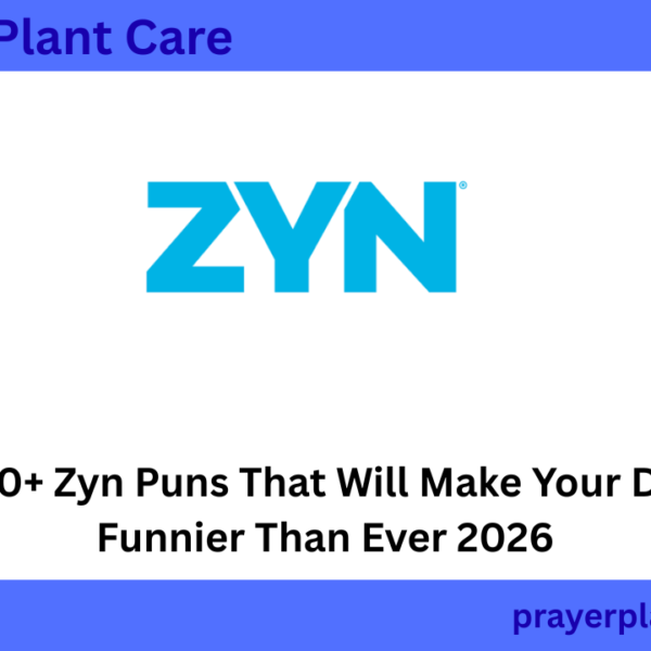 300+ Zyn Puns That Will Make Your Day Funnier Than Ever 2026
