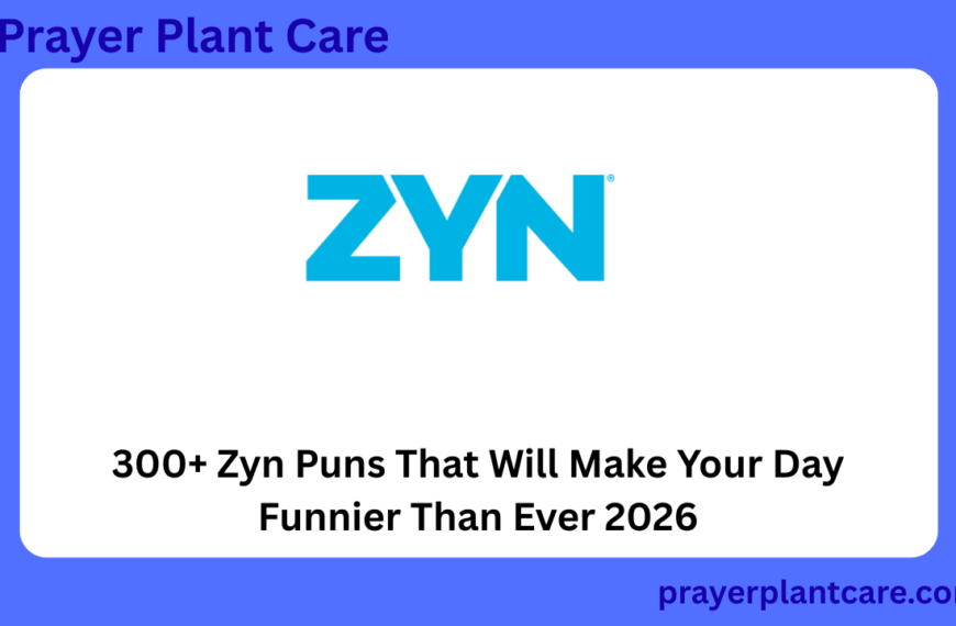 300+ Zyn Puns That Will Make Your Day Funnier Than Ever 2026