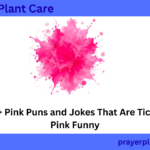 320+ Pink Puns and Jokes That Are Tickled Pink Funny