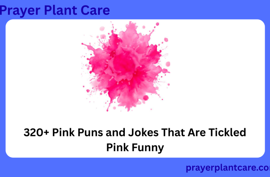 320+ Pink Puns and Jokes That Are Tickled Pink Funny
