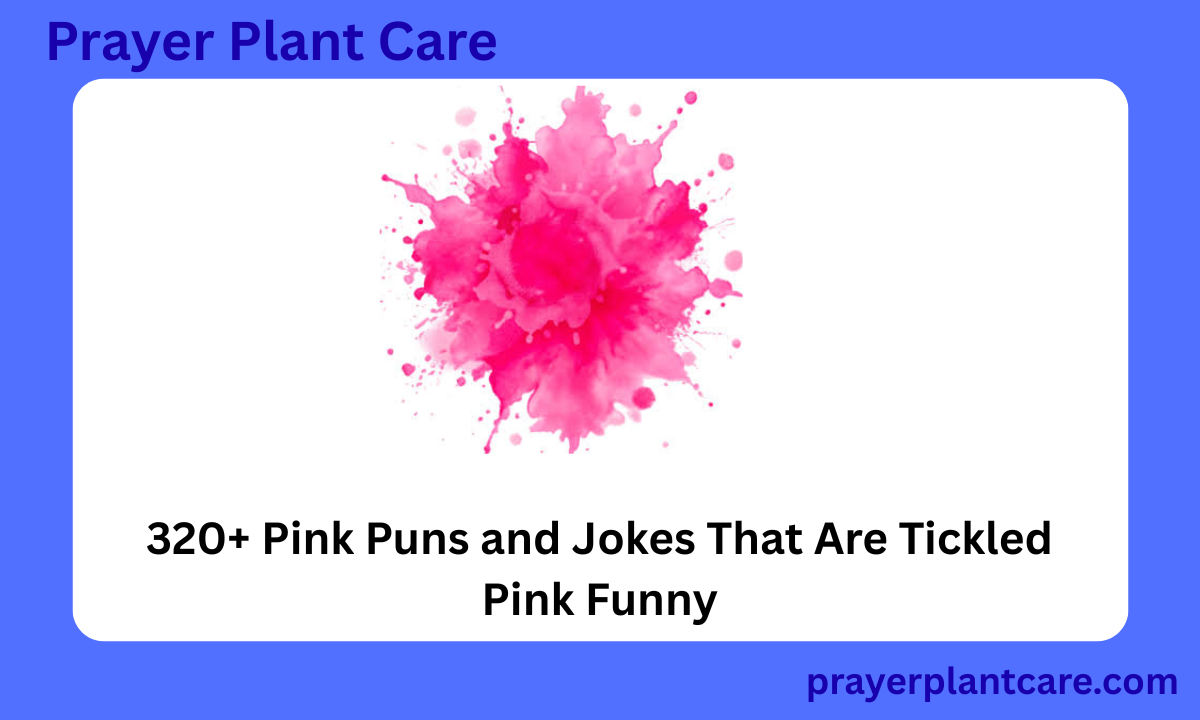 320+ Pink Puns and Jokes That Are Tickled Pink Funny