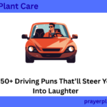 350+ Driving Puns That’ll Steer You Into Laughter