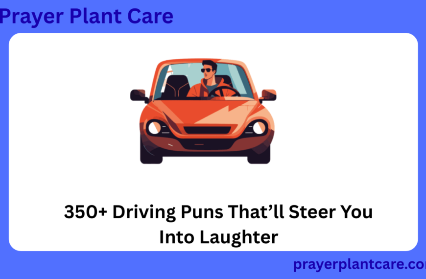 350+ Driving Puns That’ll Steer You Into Laughter
