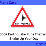 350+ Earthquake Puns That Will Shake Up Your Day