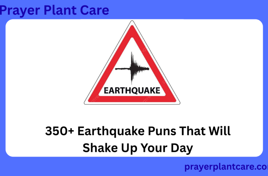 350+ Earthquake Puns That Will Shake Up Your Day