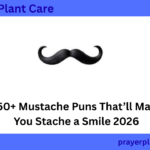 350+ Mustache Puns That’ll Make You Stache a Smile 2026