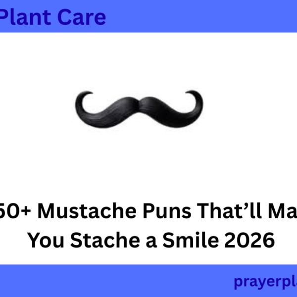 350+ Mustache Puns That’ll Make You Stache a Smile 2026