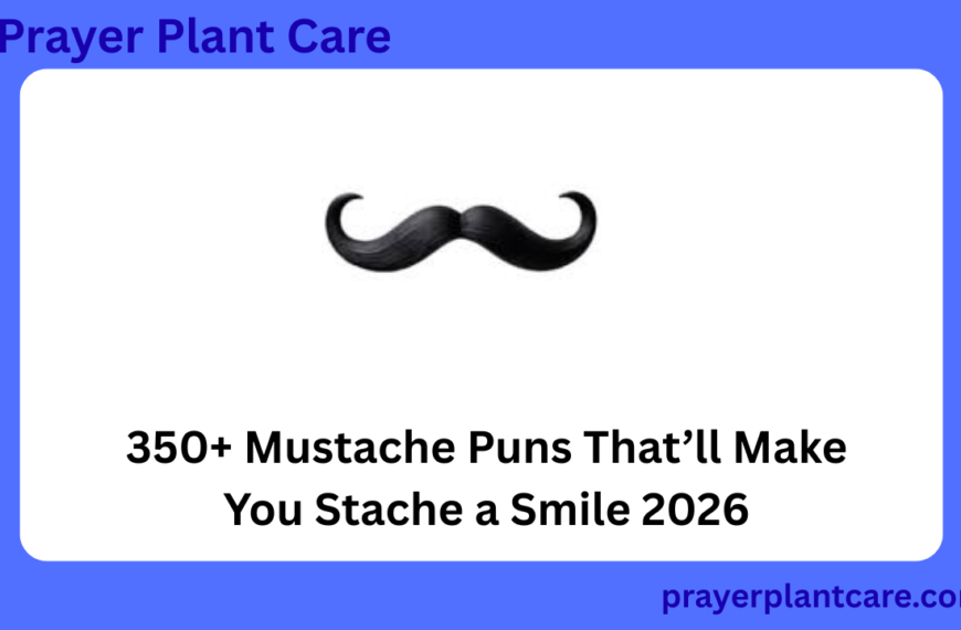 350+ Mustache Puns That’ll Make You Stache a Smile 2026