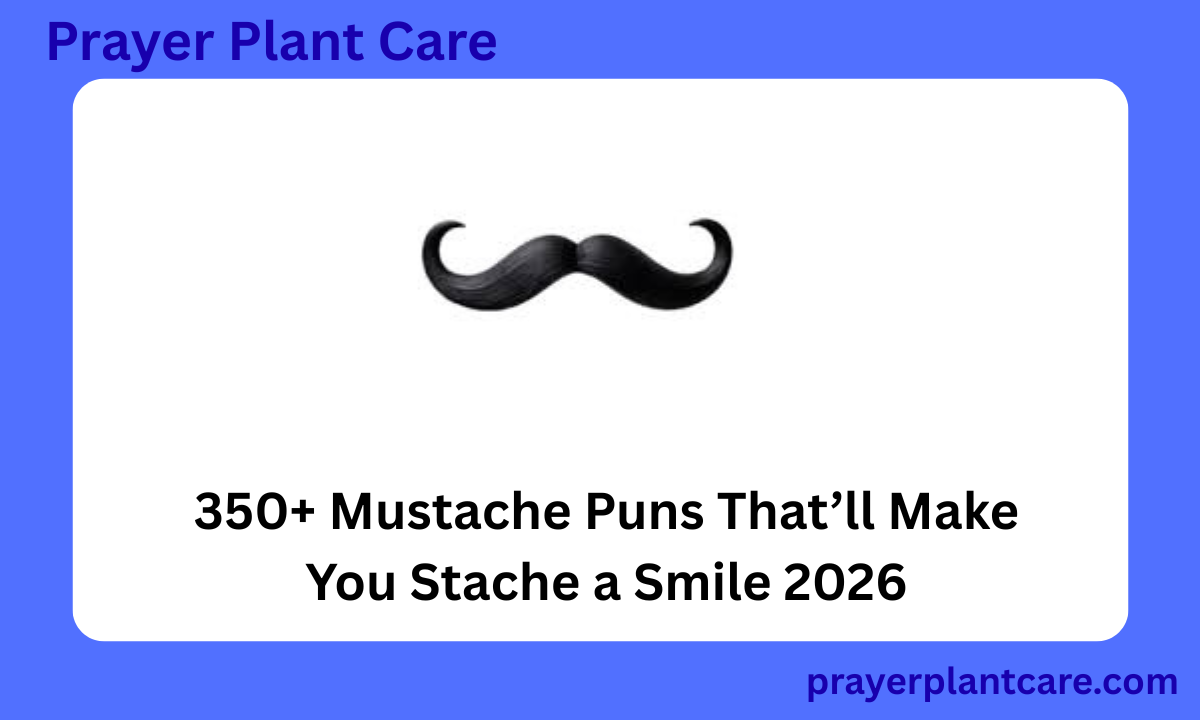 350+ Mustache Puns That’ll Make You Stache a Smile 2026