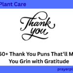 350+ Thank You Puns That’ll Make You Grin with Gratitude