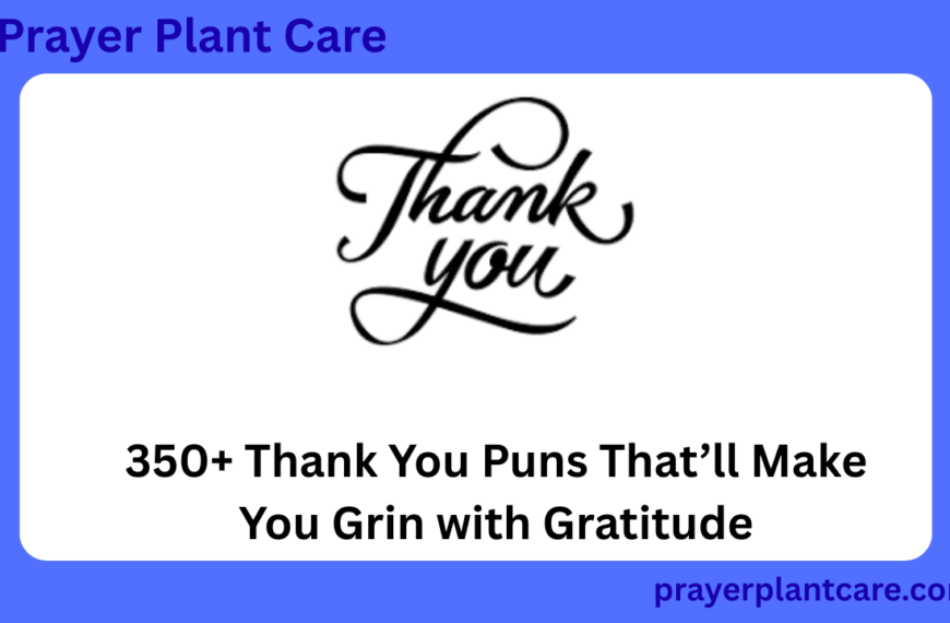 350+ Thank You Puns That’ll Make You Grin with Gratitude