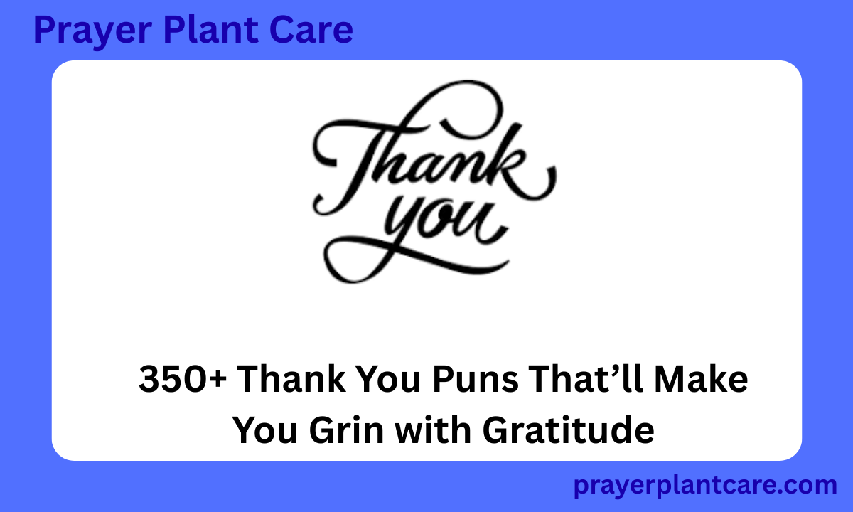 350+ Thank You Puns That’ll Make You Grin with Gratitude