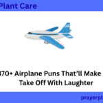 370+ Airplane Puns That’ll Make You Take Off With Laughter
