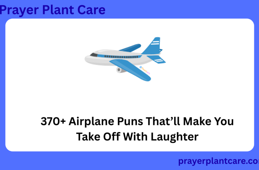 370+ Airplane Puns That’ll Make You Take Off With Laughter