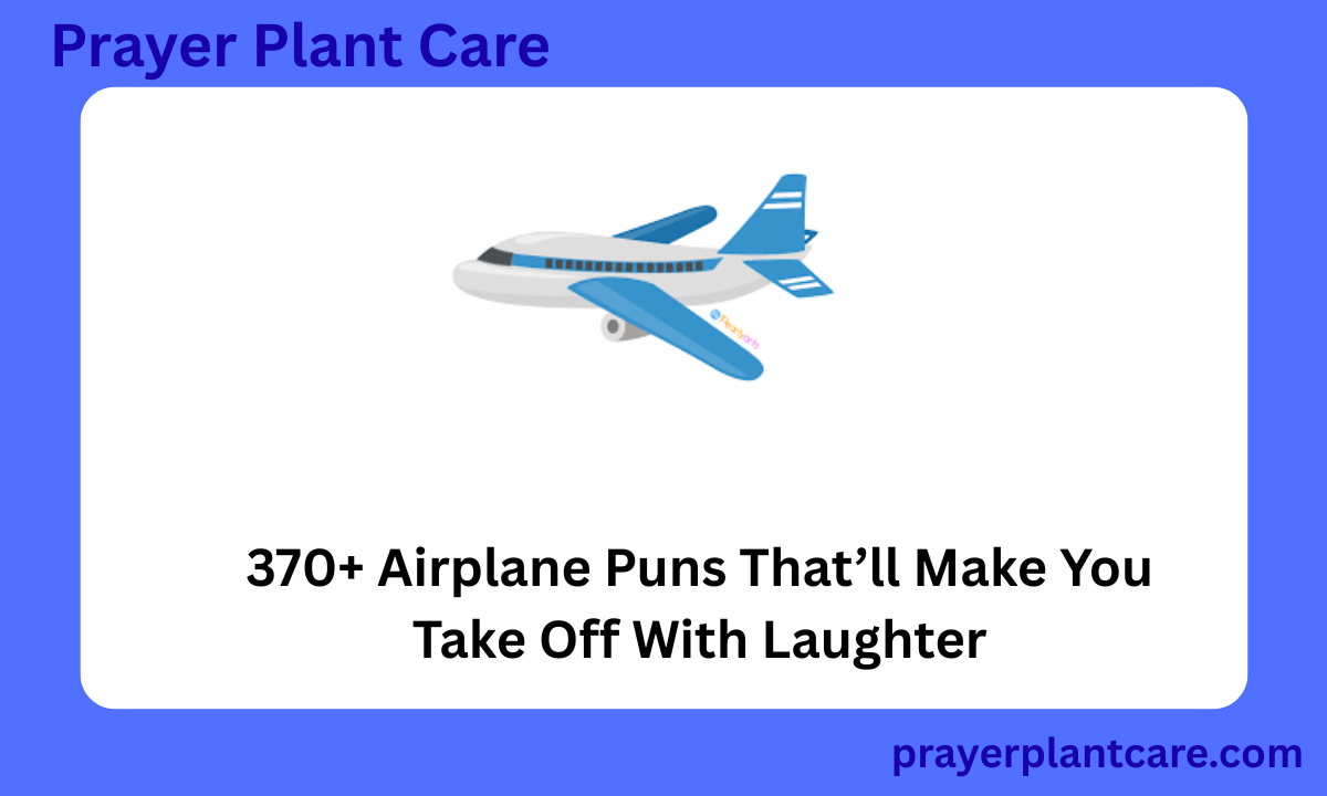 370+ Airplane Puns That’ll Make You Take Off With Laughter