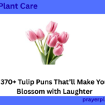 370+ Tulip Puns That’ll Make You Blossom with Laughter
