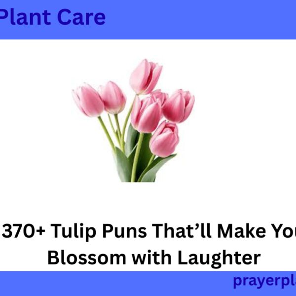 370+ Tulip Puns That’ll Make You Blossom with Laughter