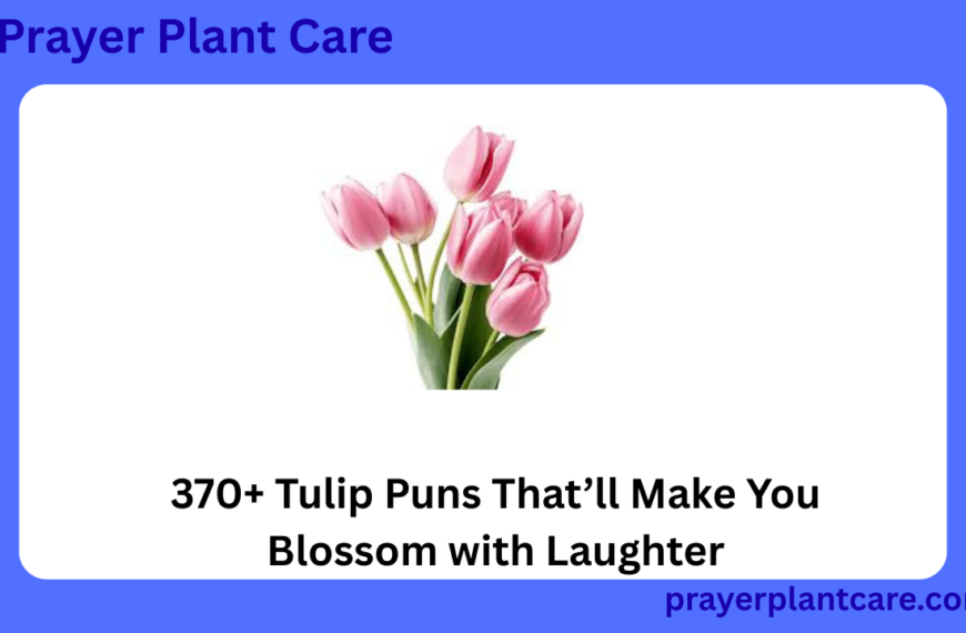 370+ Tulip Puns That’ll Make You Blossom with Laughter