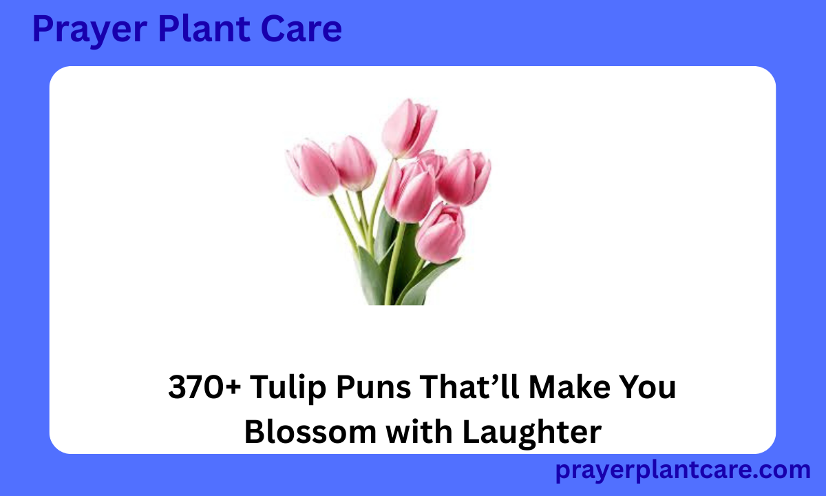 370+ Tulip Puns That’ll Make You Blossom with Laughter