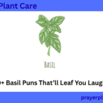 390+ Basil Puns That’ll Leaf You Laughing!