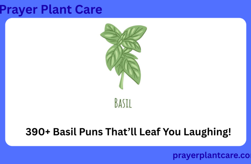 390+ Basil Puns That’ll Leaf You Laughing!