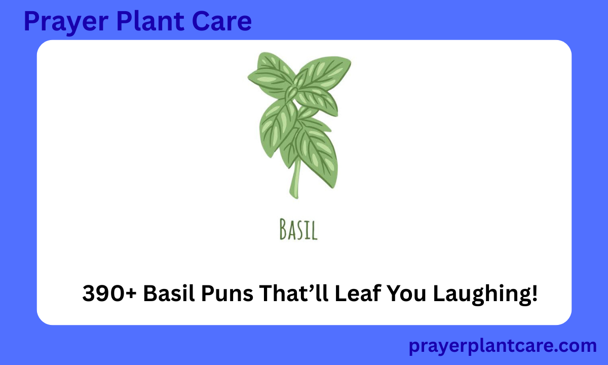 390+ Basil Puns That’ll Leaf You Laughing!